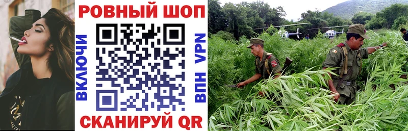 Где можно купить наркотики Покров ТГК  Меф мяу мяу  ГАШ  МДМА  A PVP  hydra рабочий сайт  АМФЕТАМИН 