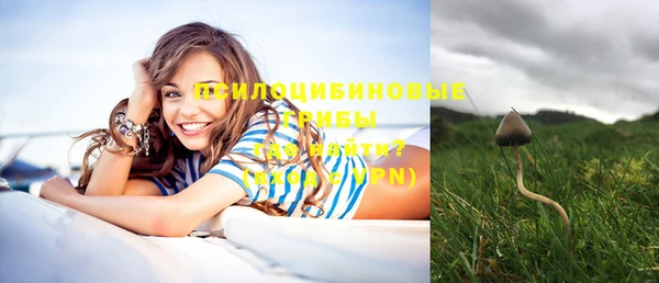 соль курить ск Нязепетровск