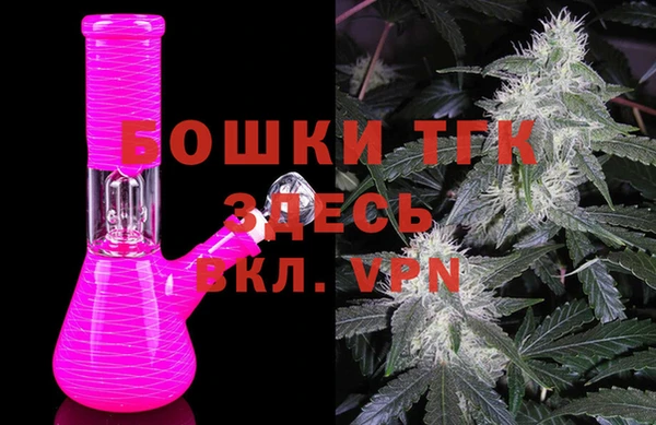 прущие грибы Нягань