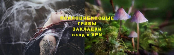 прущие грибы Нягань
