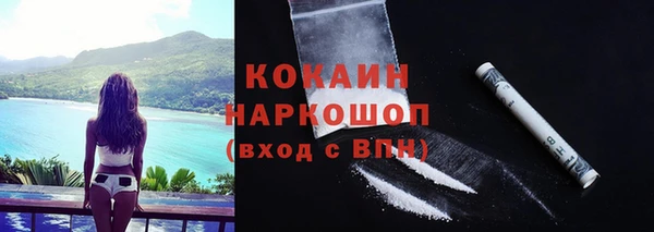 стафф Няндома