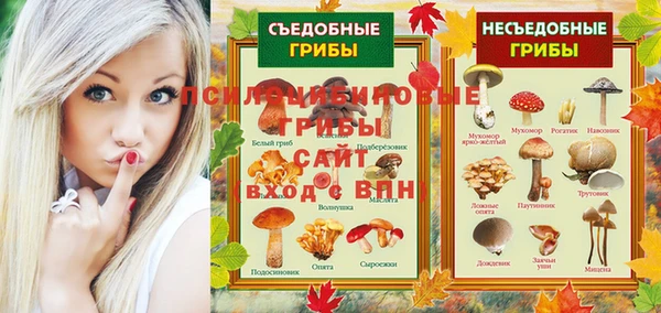 соль курить ск Нязепетровск