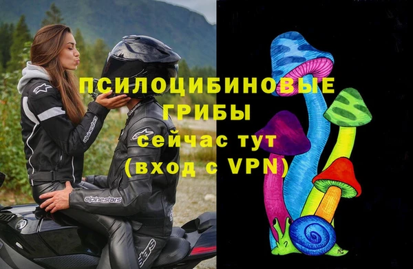 стафф Няндома