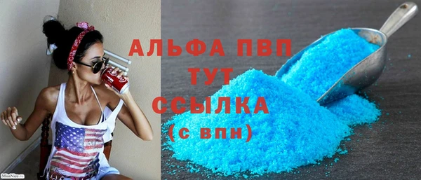 прущие грибы Нягань