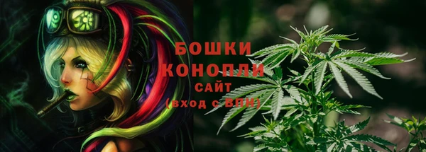 стафф Няндома