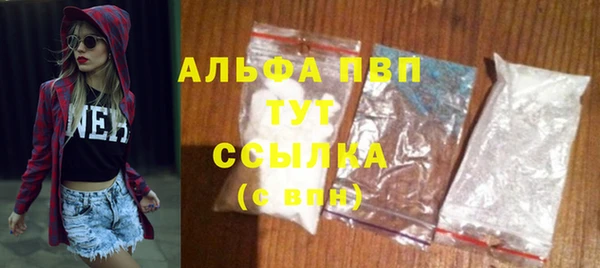 прущие грибы Нягань