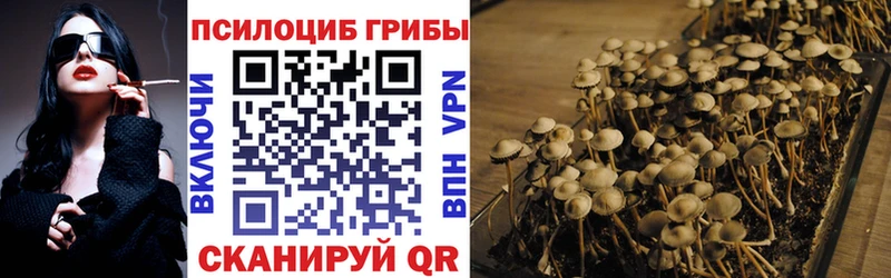 Псилоцибиновые грибы Psilocybe  Покров 